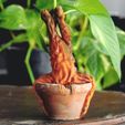5.jpg STL file Mandrake Plant - Harry Potter・3D printer model to download