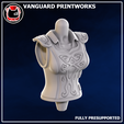 Leather-Torso-2.png Torso de cuero 2 Charamancer