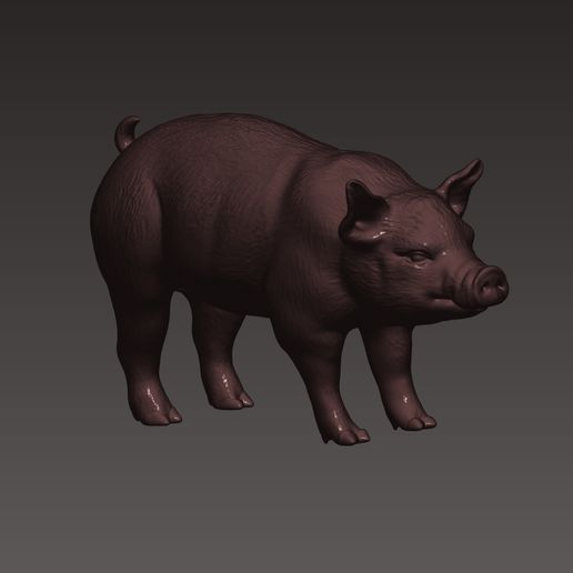 2.jpg Pig 3D print model