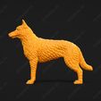 1586-Belgian_Shepherd_Dog_Laekenois_Pose_01.jpg Belgian Shepherd Dog Laekenois Dog 3D Print Model Pose 01