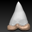 1.png STL file Shark Tooth・3D printer model to download