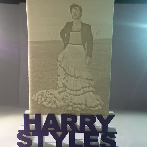 Foto Harry Cults.JPG La lithophanie de Harry Styles