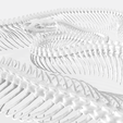 2.png SERPENTE ROSPO ANFIBIO RETTILE COBRA PITONE VIPERA ANIMALE ANATOMIA 3D MODELLO SCHELETRO OCEANO OSSA