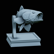 Bass-trophy-33.png Largemouth Bass / Micropterus salmoides fish in motion trophy statue detailed texture for 3d printing