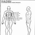 5a91271ff54b080af471c9997d7845b5.jpg Starfleet human body anatomy, all scales