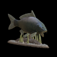 carp-podstavec-high-quality-1-2.png big carp underwater statue detailed texture for 3d printing