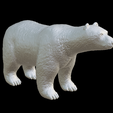 Capture-d’écran-2023-07-06-à-02.08.06.png bear black brown and polar