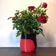 Red-w-flowers.jpg Modern Indoor Planter