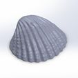 fin.png Sea shell