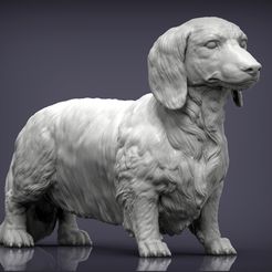 dachshund-longhair5.jpg 3D file Dachshund longhair 3D print model・3D printable design to download