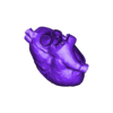 Realistic_heart__0302203711_texture.stl Heart