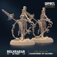 resize-a17.jpg Daugthers of Mayhem ALL VARIANTS - MINIATURES JULY 2023
