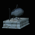 Salmon-statue-box-1-13.png fish sculpture of a Atlantic salmon / salmo salar with storage space / for 3d printing
