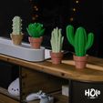 DSCF5040.jpg 3D file Cute Cactus Home Decor - Print in Place・Model to download and 3D print, Holoprops