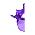 L4_left.stl Поясничные позвонки и крестец, в удобном формате для печати