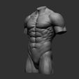 14.jpg Archivo 3D 4 Torsos masculinos・Modelo para descargar e imprimir en 3D, Daniartist