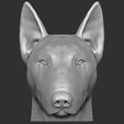 3.jpg Bull Terrier dog for 3D printing