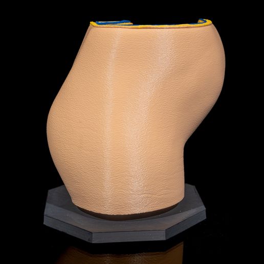 Female-Reproductive-System-4.jpg Female Reproductive System