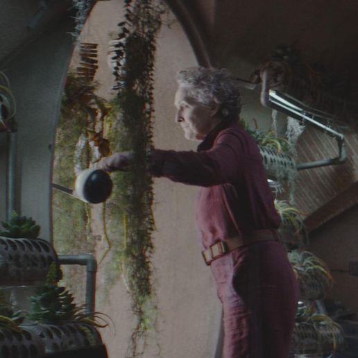 ez4tvkr4gy0f1.jpeg Maarva Andor Hydroponic Plant Holder