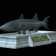 Barracuda-base-2.png fish great barracuda / Sphyraena barracuda statue detailed texture for 3d printing
