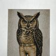 Owl-in-Khakis-Complete.jpg Owl in Khakis Hueforge + Bookmark