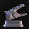 05.png Cabeça de crocodilo