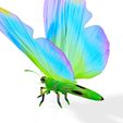 bt.jpg DOWNLOAD BUTTERFLY  COLECTION 3D MODEL ANIMATED - MAYA - BLENDER 3 - 3DS MAX - UNITY - UNREAL - CINEMA 4D -  3D PRINTING - OBJ - FBX - 3D PROJECT CREATE AND GAME READY BUTTERFLY