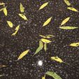4.jpg Leafy Flooded Asphalt 8K PBR Texture
