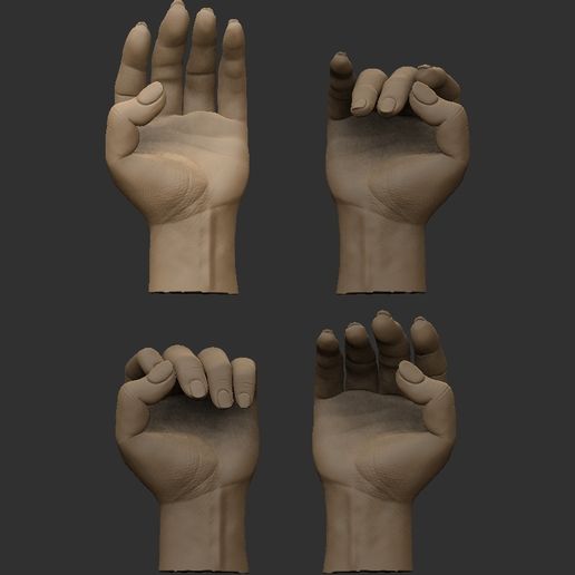 2-ZBrush-Document.jpg Hand details