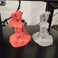 20230512_181508.jpg STL file Fallen angel and bikini girl busts, two models・3D printable design to download