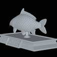 Carp-money-9.png fish sculpture of a carp with storage space for 3d printing