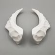 20220923_132059.jpg Medium Bone Horns | Holly