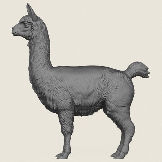 Alpaca-Standing-04.jpg Alpaca Standing