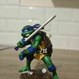 Leo TmnT