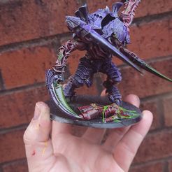 FREE SPACE CHONKY BUG