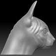 5.jpg Sphynx cat head for 3D printing