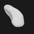 3.png Scaphoid Bone Right Hand