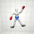 photo.jpg Boxer Bot