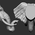 EL04.jpg Elephant Head