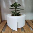 TPBackground2.jpg Toilet Paper  Ikea Cactus Pot
