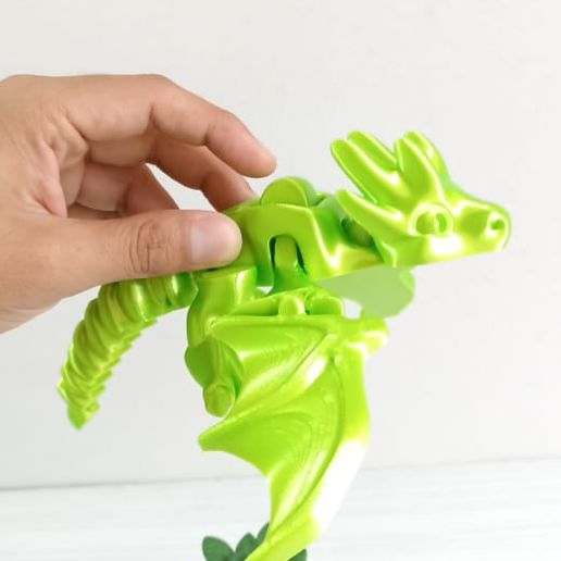 WhatsApp-Image-2024-05-10-at-8.59.17-AM-3.jpeg Little Flying Dragon