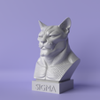 dsads.png Alpha Whiskers – Sigma Cat 3D Bust