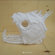 1.png Payara Fish (Vampire Fish) Skull Head