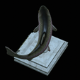 Rainbow-trout-trophy-open-mouth-1-22.png fish rainbow trout / Oncorhynchus mykiss trophy statue detailed texture for 3d printing