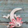 IMG_4002.jpg Free STL file ARTICULATED AXOLOTL - PRINT-IN-PLACE ARTICULATED REALISTIC AXOLOTL・3D printable model to download
