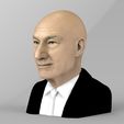 professor-x-charles-xavier-bust-ready-for-full-color-3d-printing-3d-model-obj-mtl-fbx-stl-wrl-wrz-2.jpg Professor X Charles Xavier from X-Men bust full color 3D printing