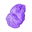 CARNOTAURUS BASE.stl CARNOTAURO