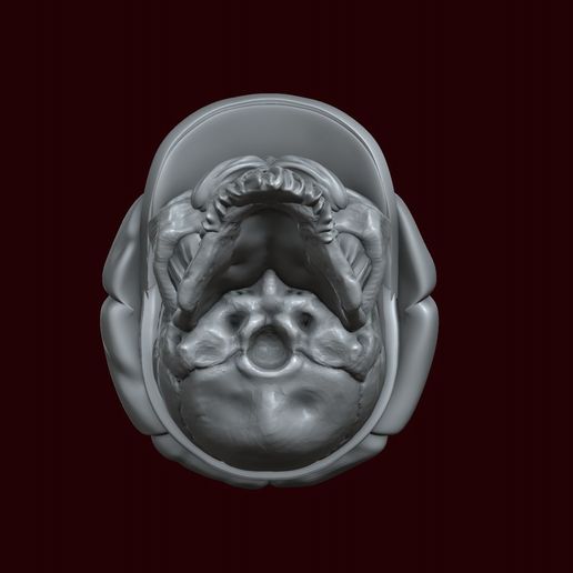 23.jpg Crâne dans une casquette à huit lames