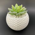 golf-ball-planter-mold-2.jpg Golf ball planter mold - Include pot file for print