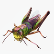 portadaaaay.png DOWNLOAD Grasshopper 3D MODEL - ANIMATED - INSECT Raptor Linheraptor MICRO BEE FLYING - POKÉMON - DRAGON - Grasshopper - OBJ - FBX - 3D PRINTING - 3D PROJECT - GAME READY-3DSMAX-C4D-MAYA-BLENDER-UNITY-UNREAL - DINOSAUR -